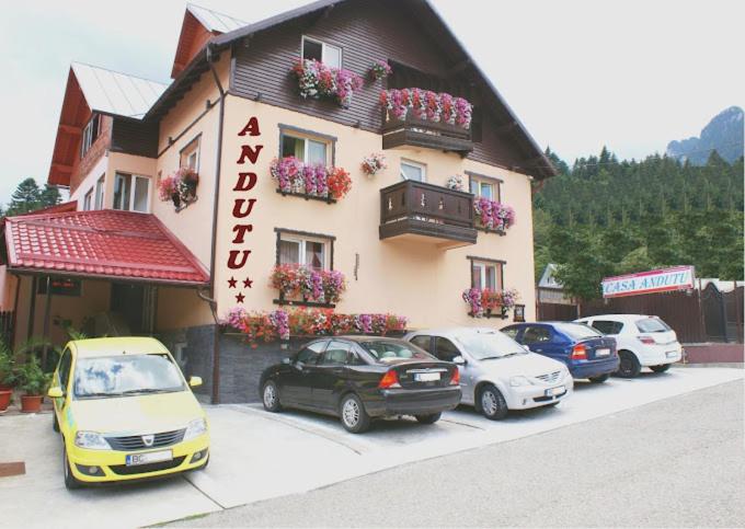 Anduțu - B&B