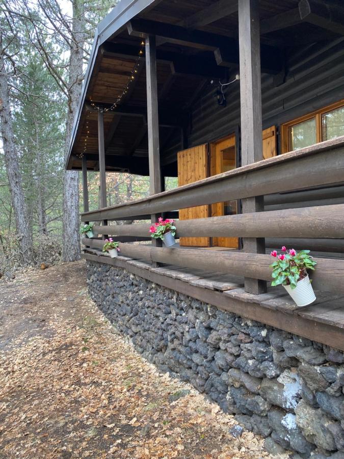 Woods Etna Chalet - B&B