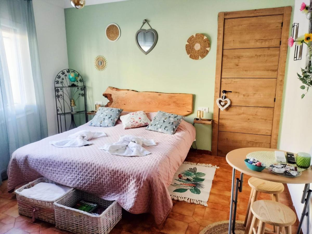 El Patio - B&B Darnius
