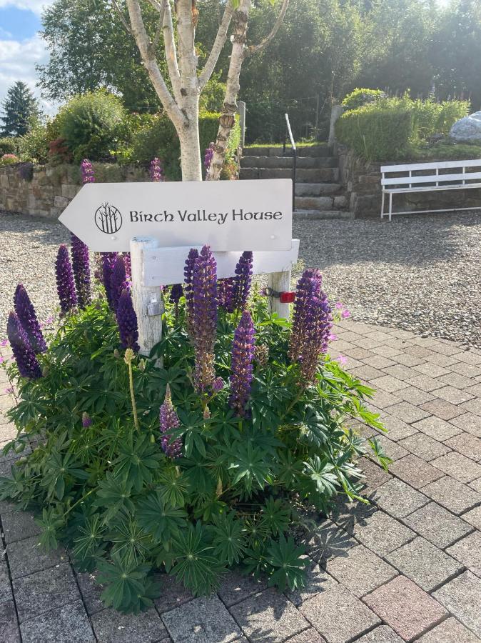 Birch Valley Accommodation Tinahely Wicklow Ireland - Bed and Breakfast