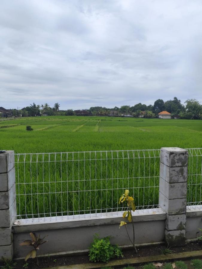 Umo Dewi - B&B Krambitan