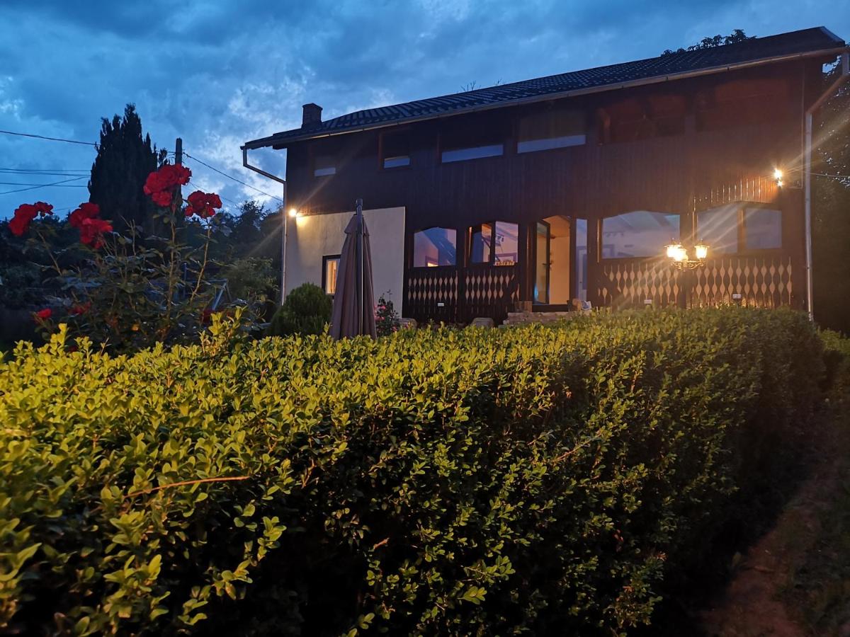 Lake House Violeta - B&B Crâng