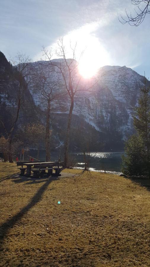 Seeblick Krippenstein - B&B