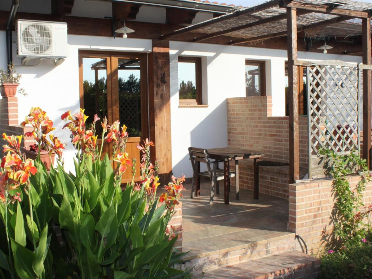 Studio with Terrace