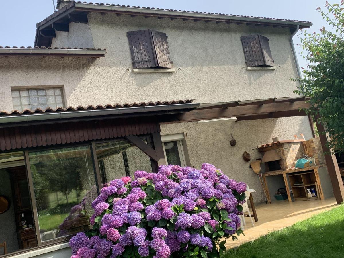 Vallée de la Barousse à Esbareich Hautes-Pyrénées - B&B Esbareich