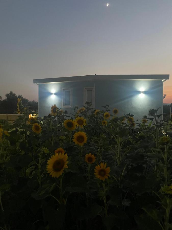 Anastasia Beach Cottage POMELIA - B&B Fontane Bianche