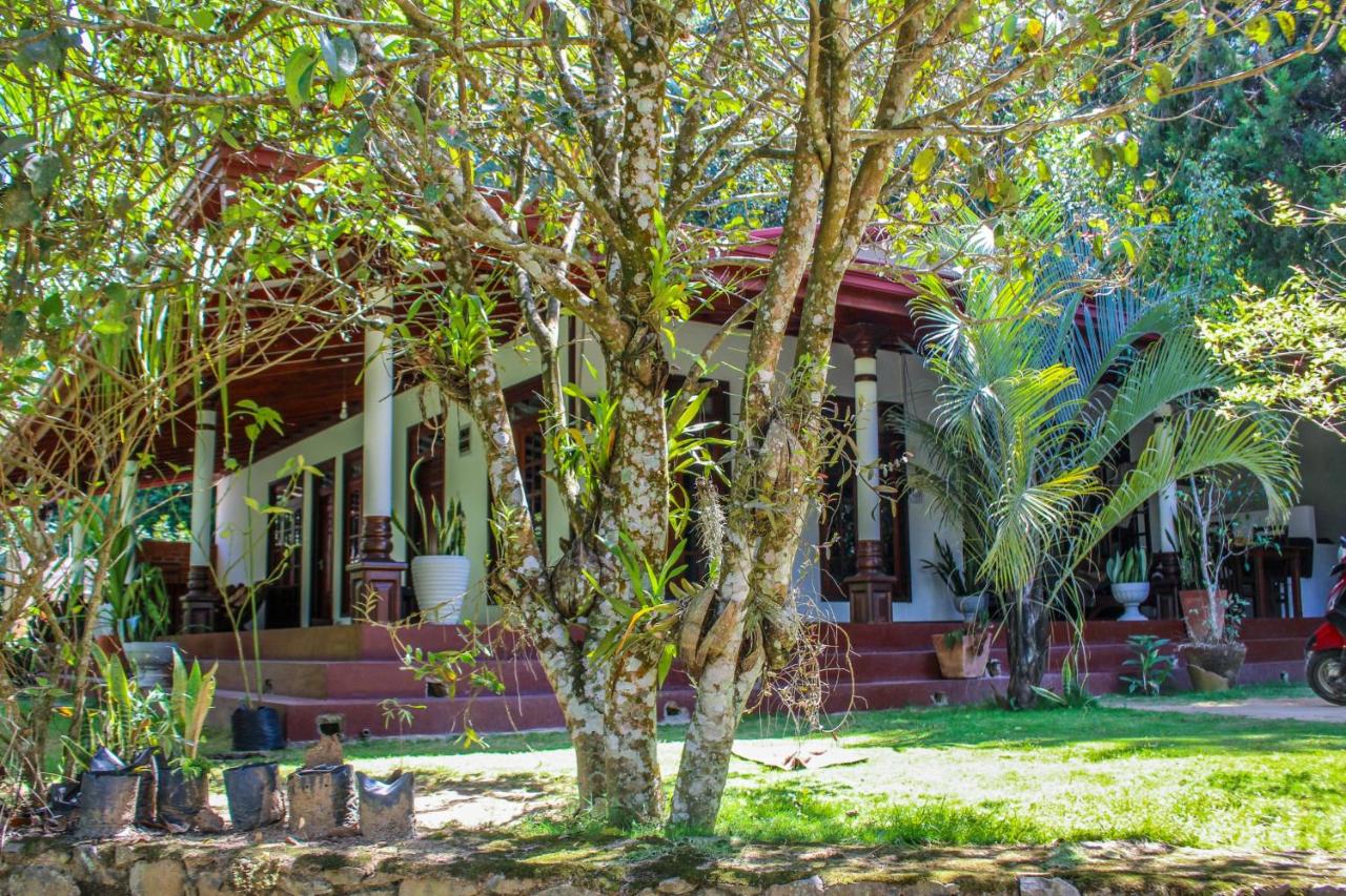 Lavender Homestay - B&B