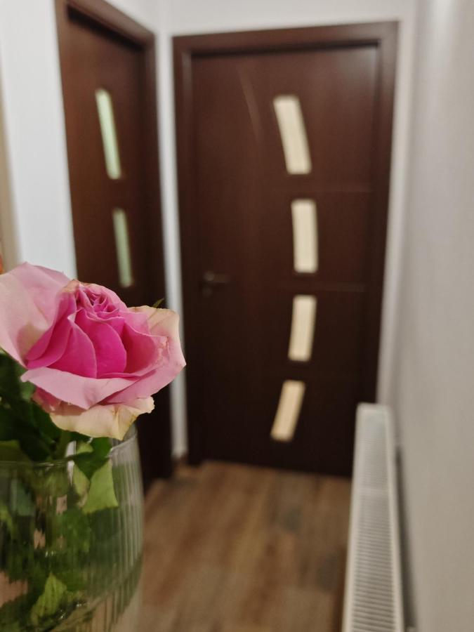 Apartament Luca - B&B Călimăneşti