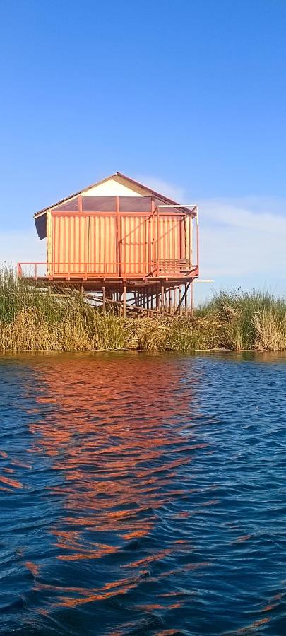 Titicaca Kontiki Eco Lodge Peru - B&B Puno