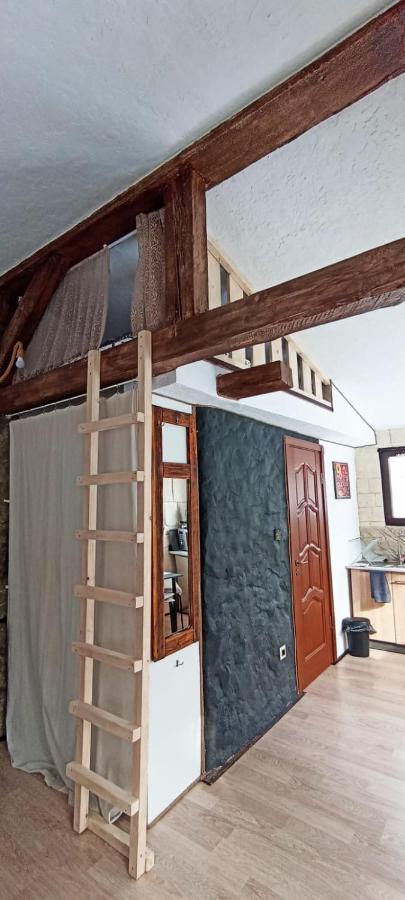 Forest Hide Tiny House - B&B Covasna