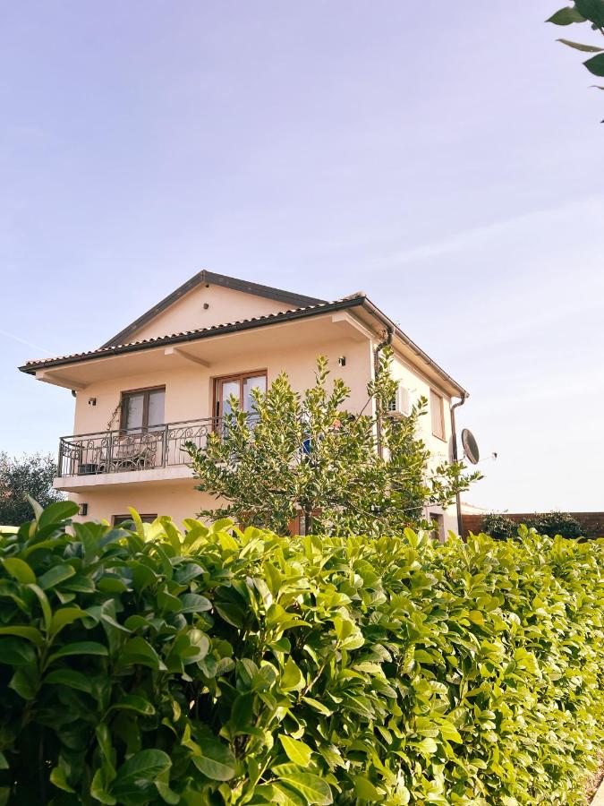 Apartment with Garden View