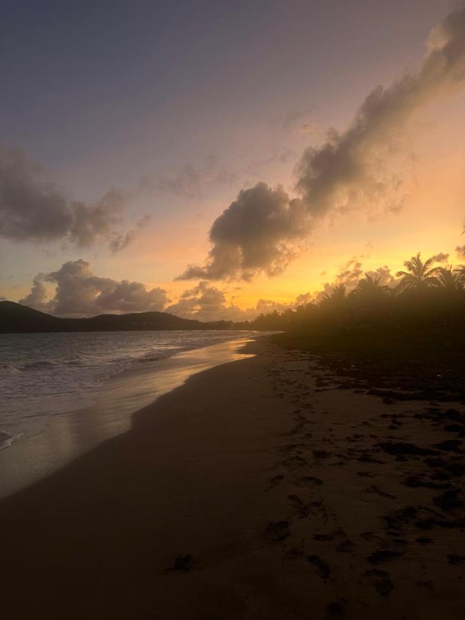 Rosie's Holiday Home - B&B Gros Islet