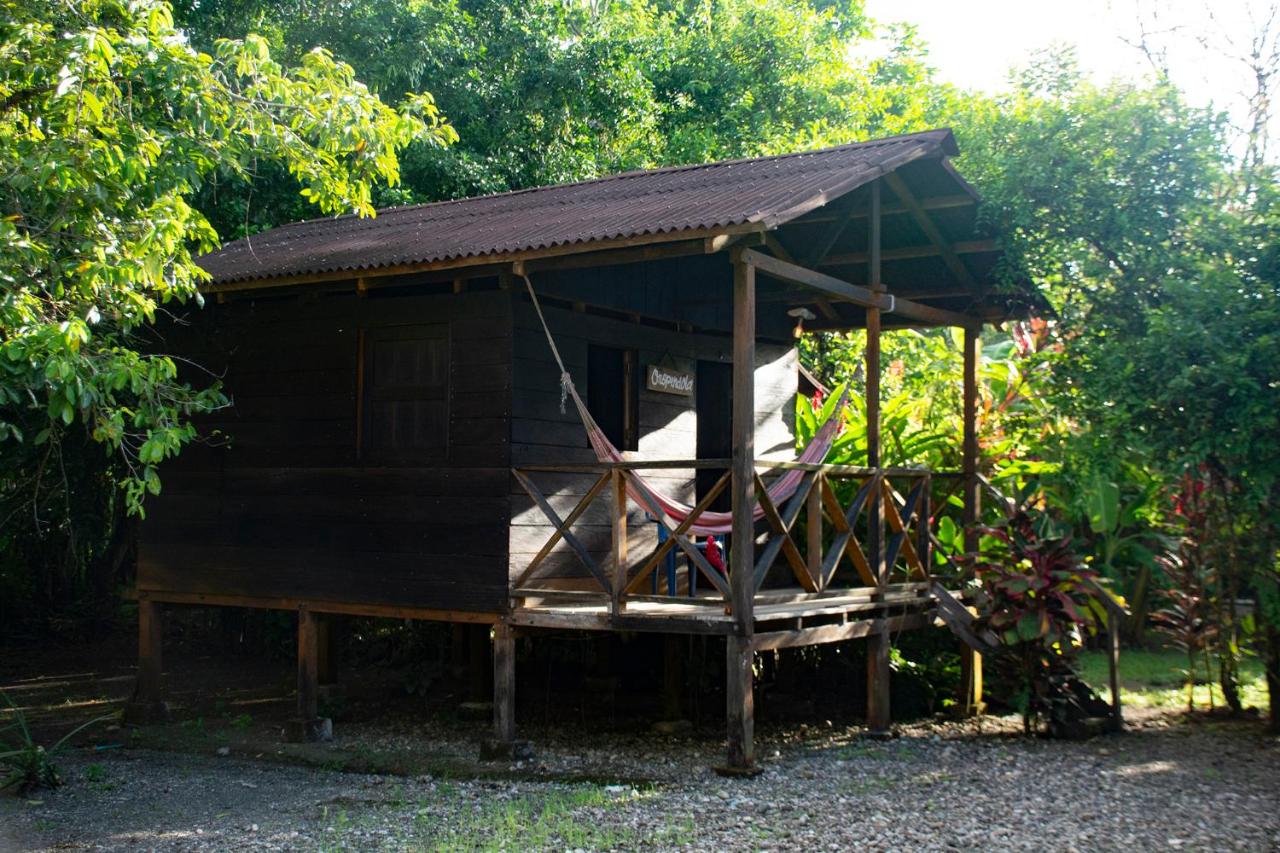 Habitación Doble - 1 o 2 camas