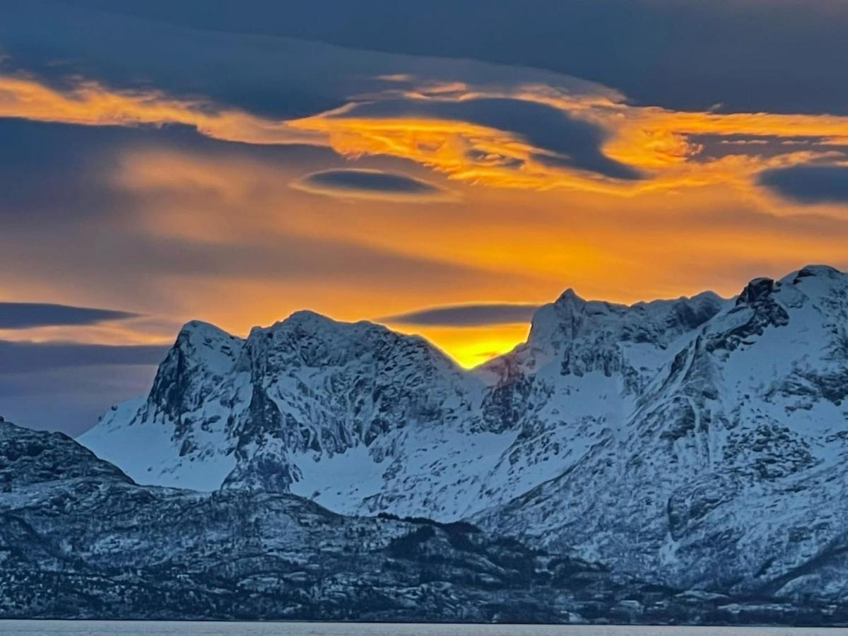 Hus med havutsikt i vakre Vesterålen - naboen til Lofoten - Chambres d'hôtes Sortland
