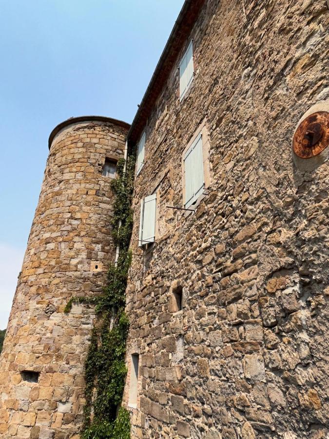Château du Barry - Bed and Breakfast Saint-Jean-de-Valériscle