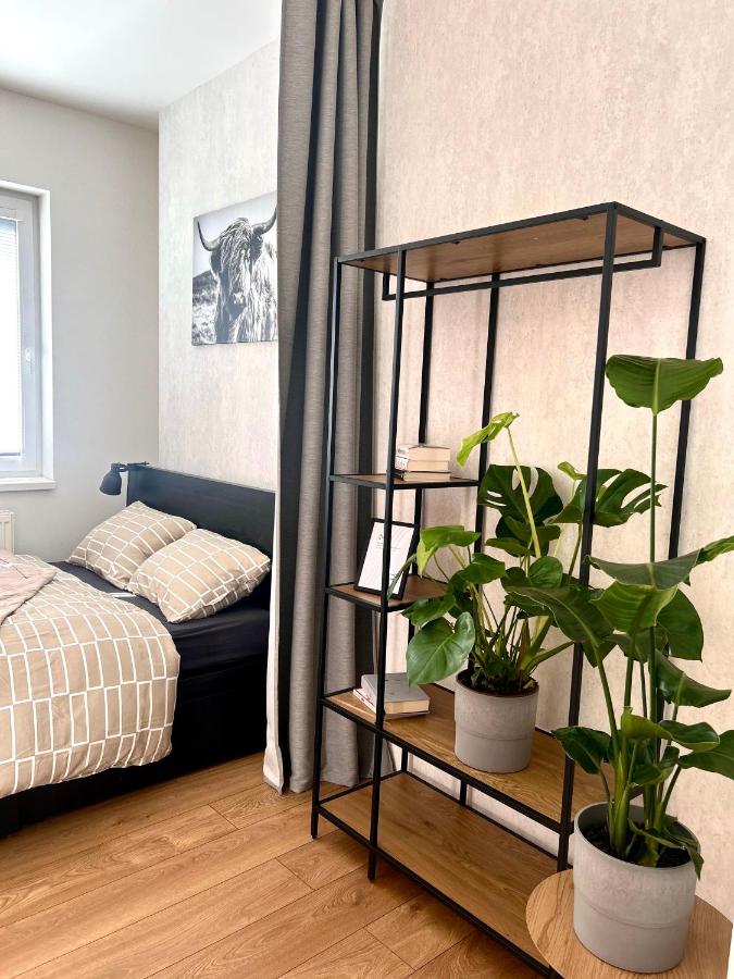 Apartment mit 1 Schlafzimmer