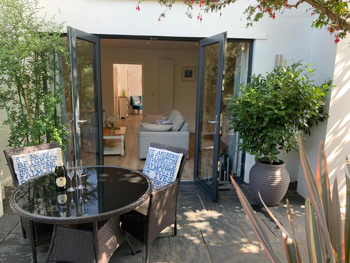 Oystercatcher, Pityme - B&B Saint Minver