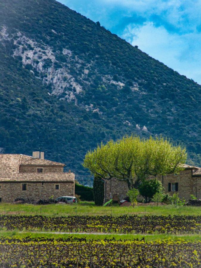 Gîte Mas de Boulègue - Chambres d’hôtes
