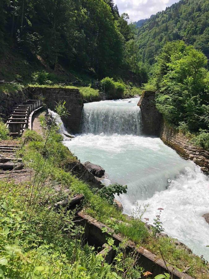 A Charming Swiss Family Chalet Daheim - B&B Isenfluh