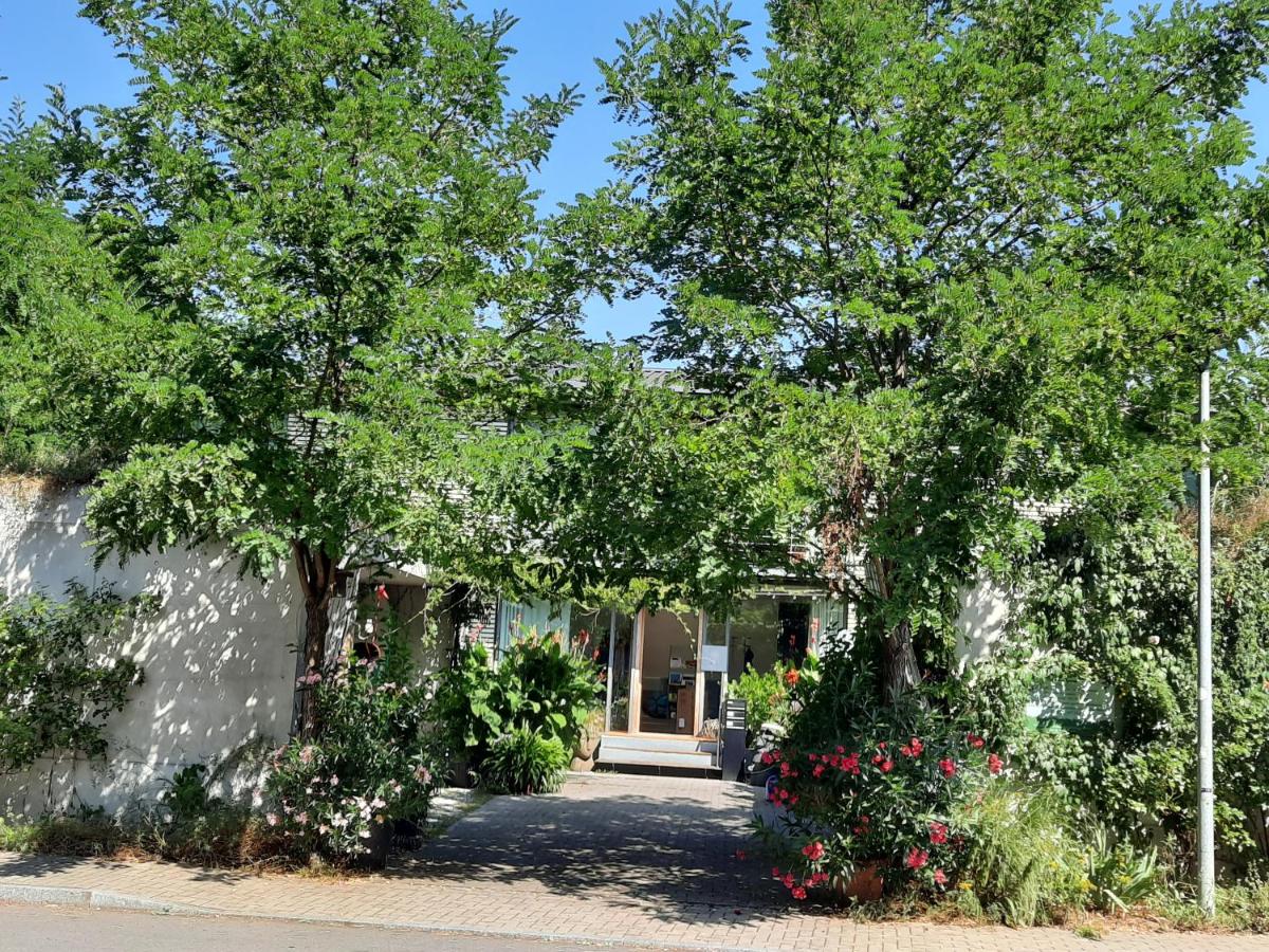 Glashus-Moos - Chambres d'hôtes Moos