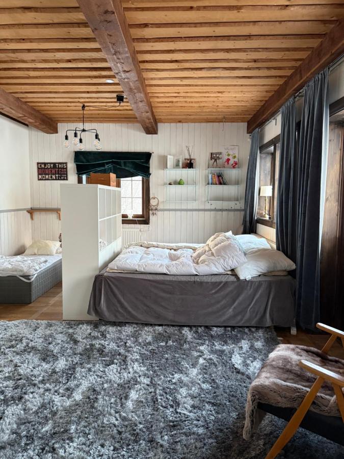 Family Two-Bedroom Apartment with View