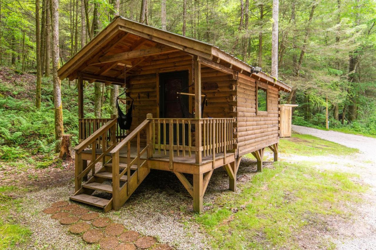Cozy Creek - B&B