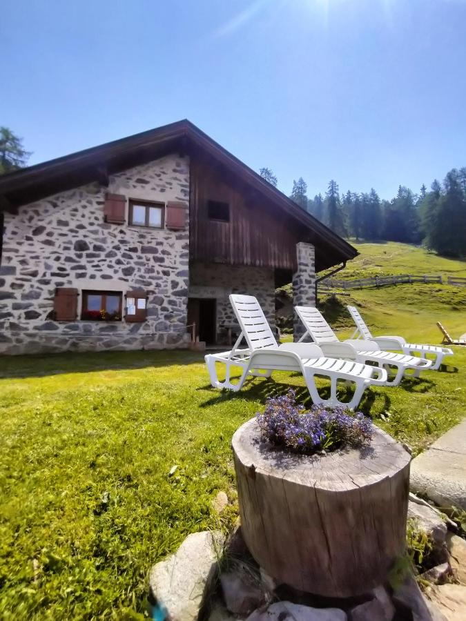 Malga Plan - B&B
