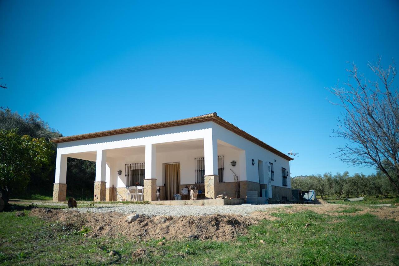 Casa rural de encanto en plena Serranía de Ronda - Chambres d’hôtes Ronda