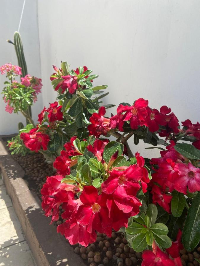 Cazazu Casa ideal para descanso e bem estar - B&B Aracaju