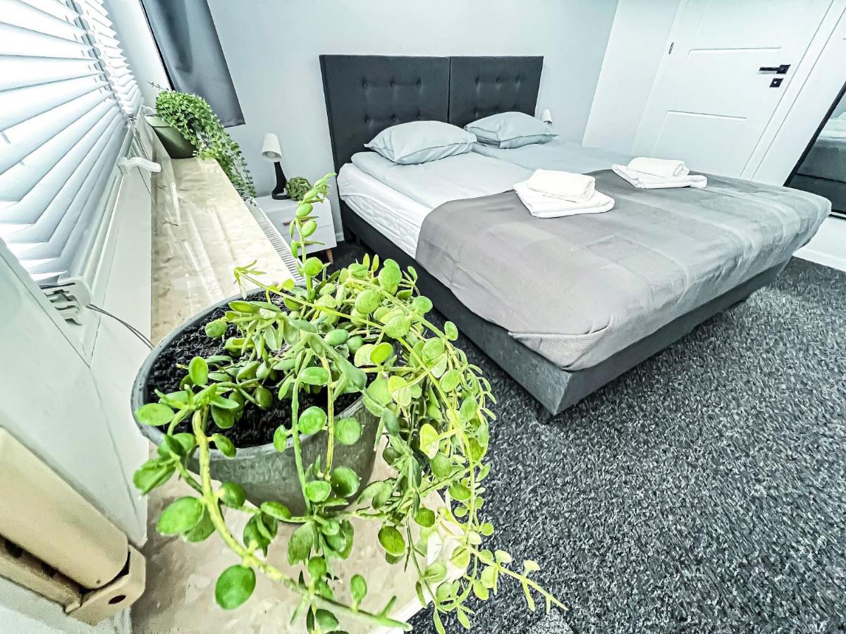 One-Bedroom Apartment with Terrace