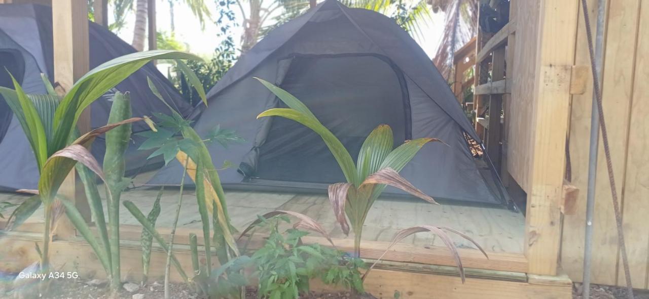 Tent