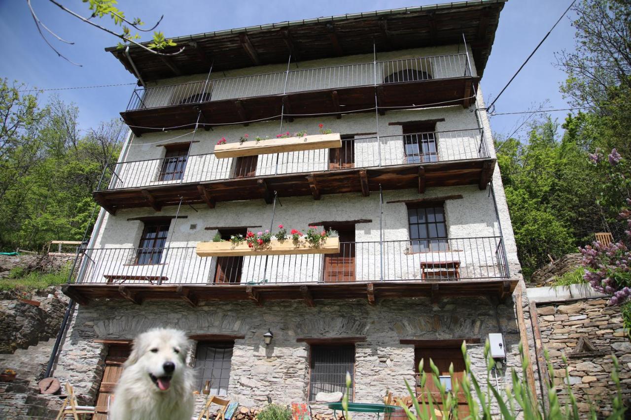 L'ARAMU - Casa Antonietta - Aramola di Macra - B&B