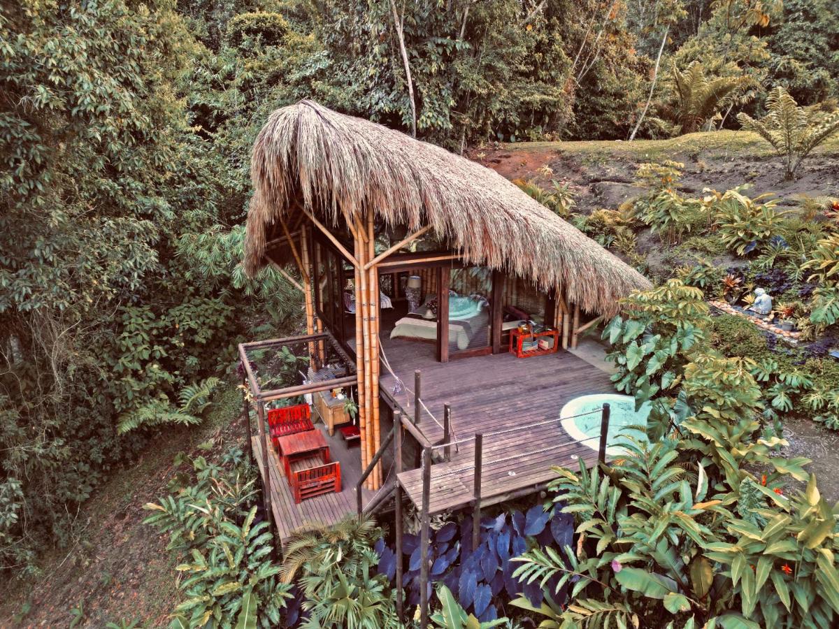 BOSQUE SECRETO Ecolodge - Chambres d’hôtes