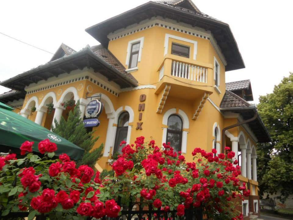 B&B Făgăraș - Pensiunea Onix - Bed and Breakfast Făgăraș