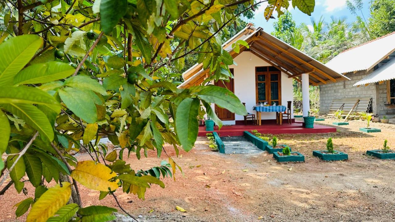 Little Haven Cottage - B&B Sigiriya