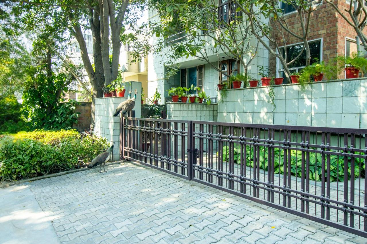 Opulent Antique 6BR Independent Villa in Gurugram - B&B