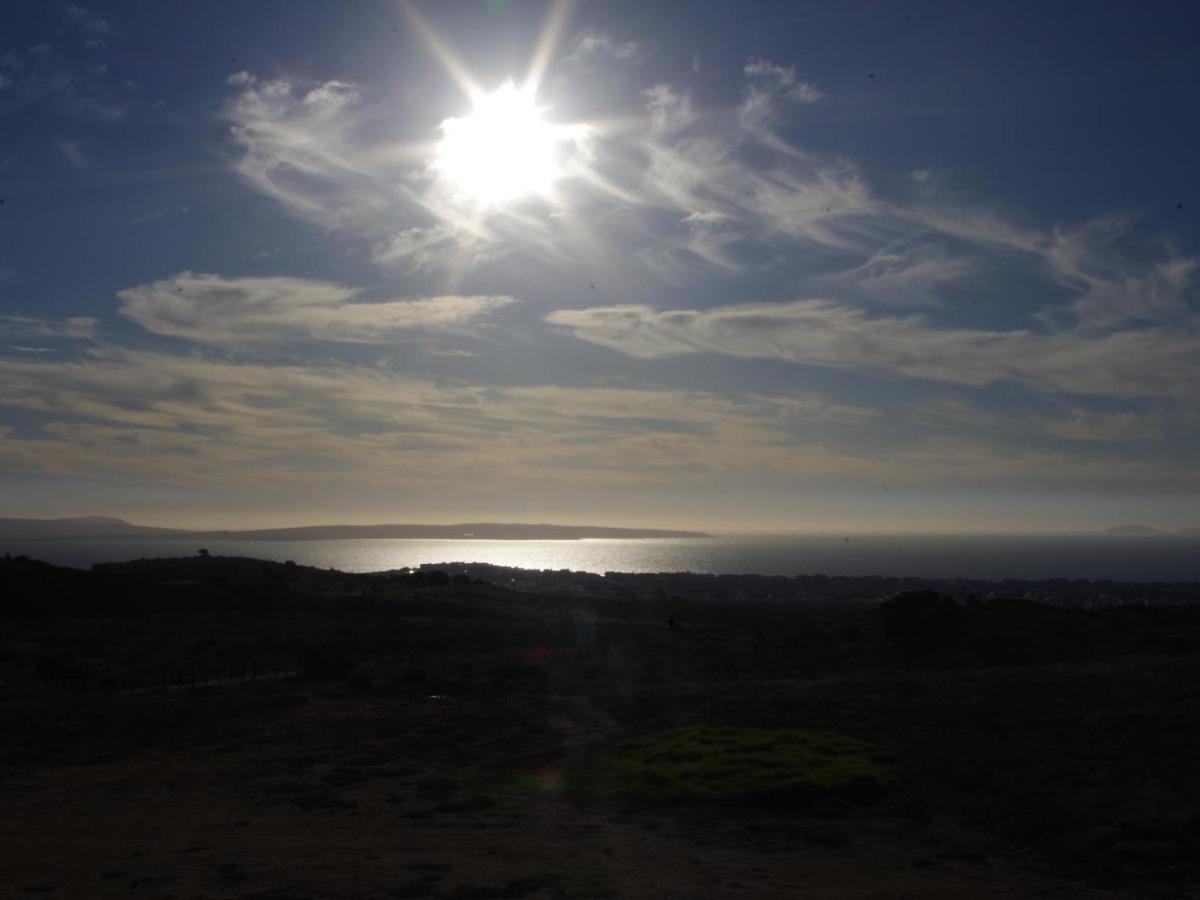 Executive Holiday Home