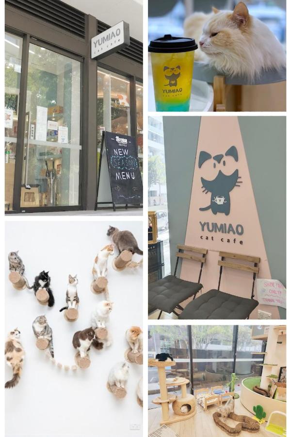 Bamboo Grove Retreat with Infinity Pool 竹林幽居无边泳池 - Chambres d’hôtes Sydney