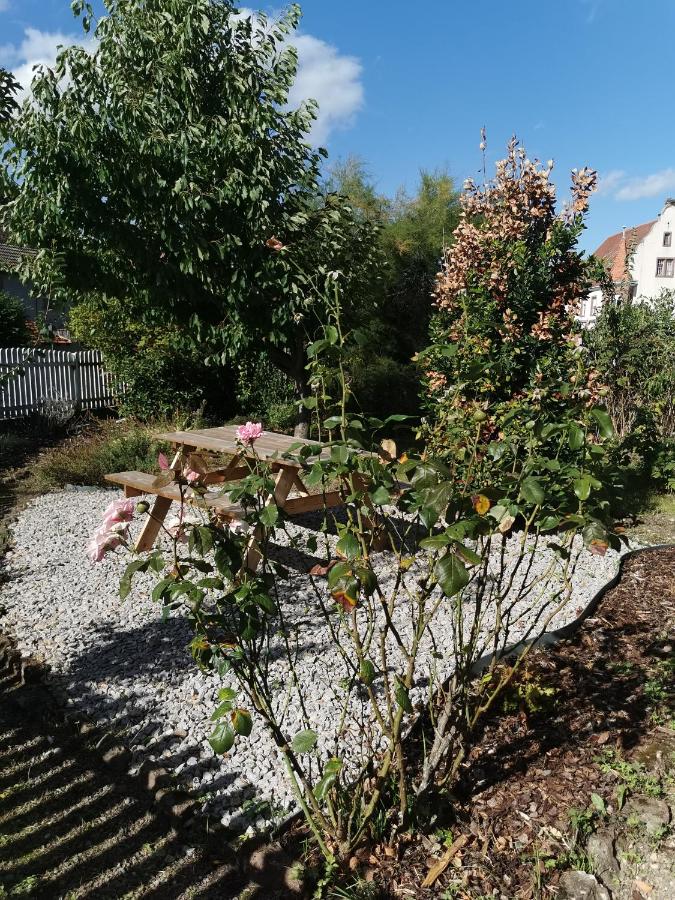 Chambre 4 dans appartement partagé proche de Strasbourg - B&B