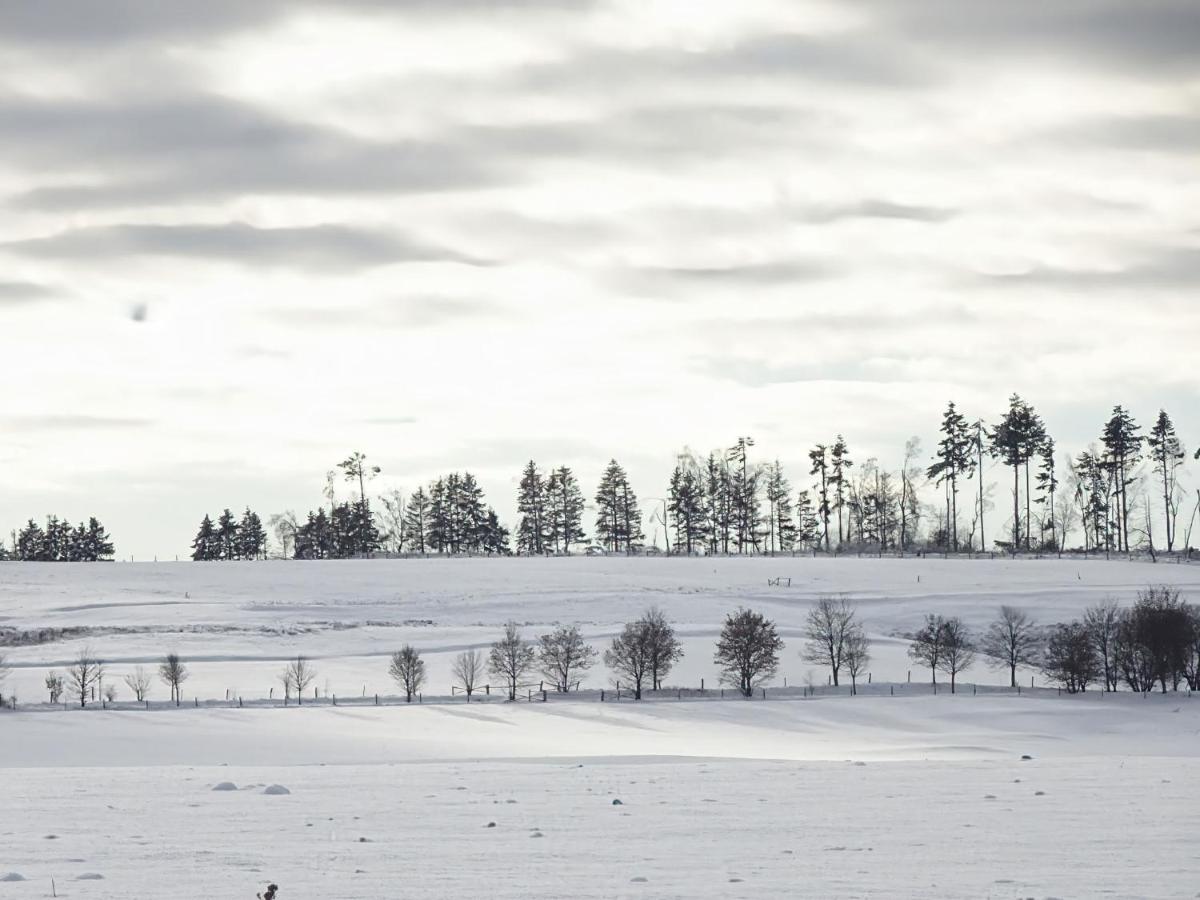 Hasselhäuser Hasselhaus 4 - B&B Hasselfelde