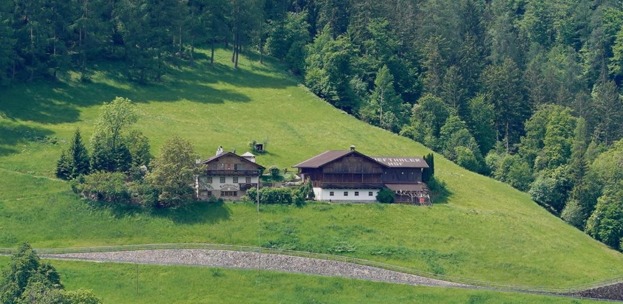 A farm in the middle of the silent nature - Chambres d’hôtes San Genesio Atesino