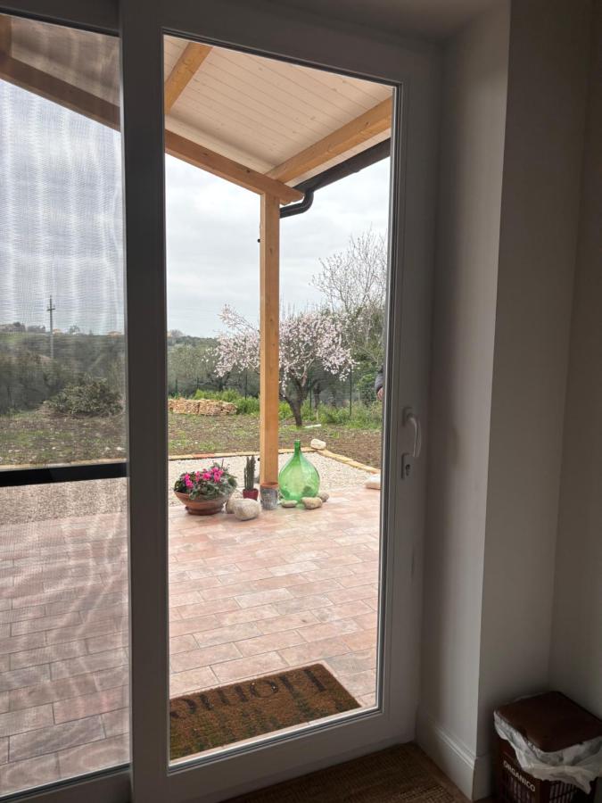 Il Gelso Bianco - B&B Scerni