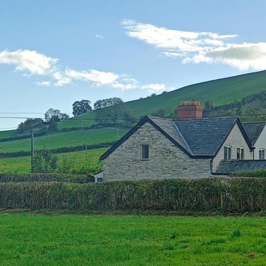 A peaceful cottage in the countryside - B&B