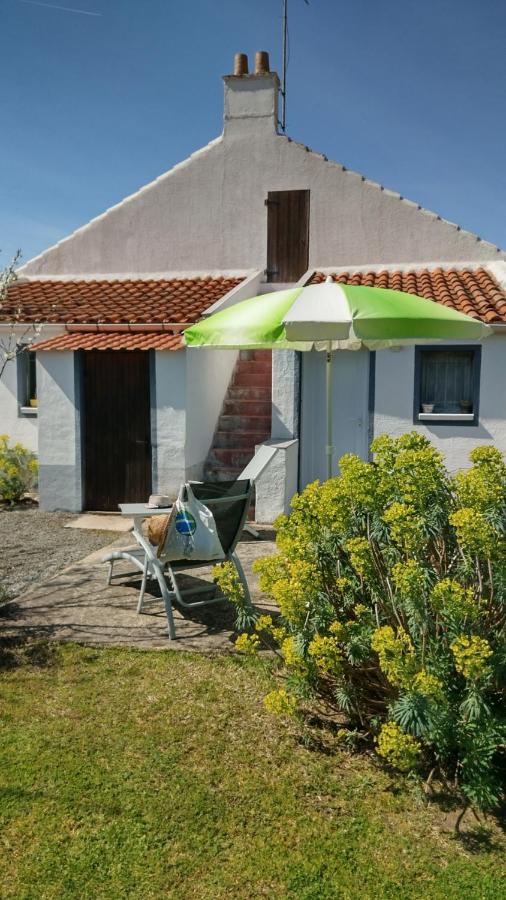 Villa Les Palmiers - B&B