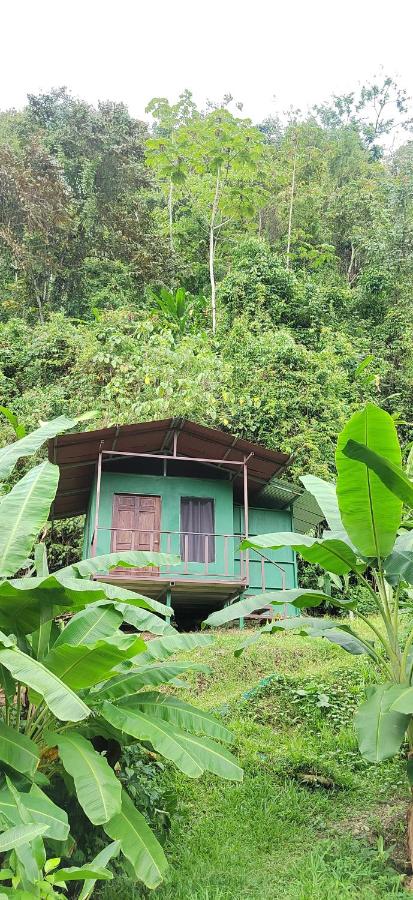 Rioverde Jungle Ecolodge - B&B Puerto Jiménez