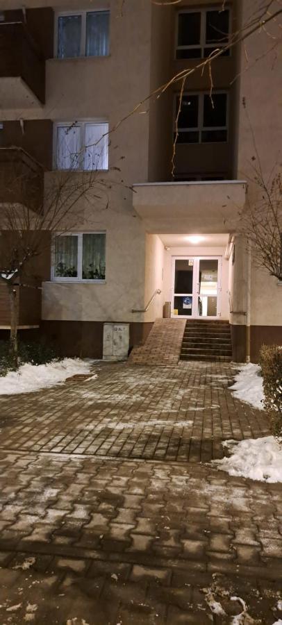 Selina Apart Transilvania - B&B Braşov