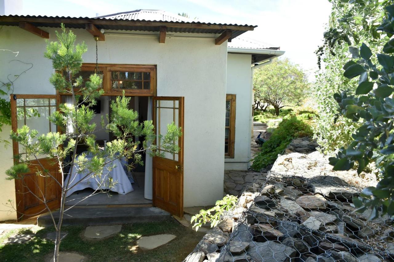 Estudio Dúplex