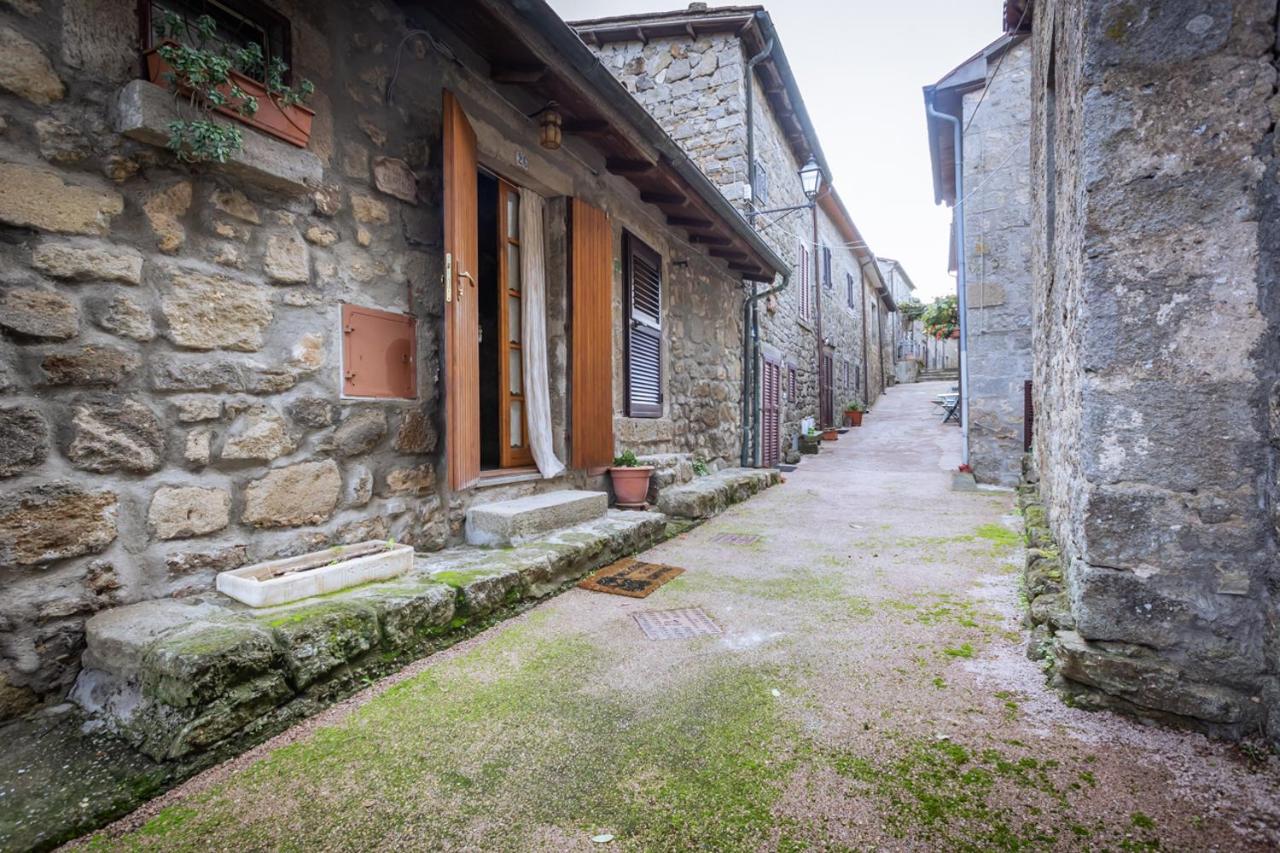 Santa Fiora Ospitalità Diffusa - Il Camino - B&B