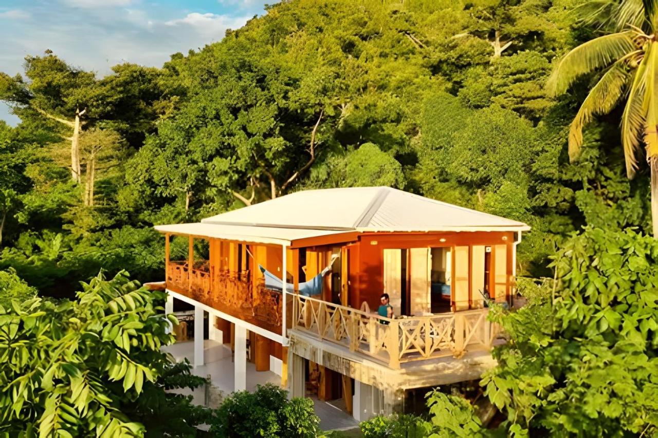 The Palms at Kitty Wharf – A Luxury Eco-Lodge in the Heart of Providencia - B&B Aguadulce