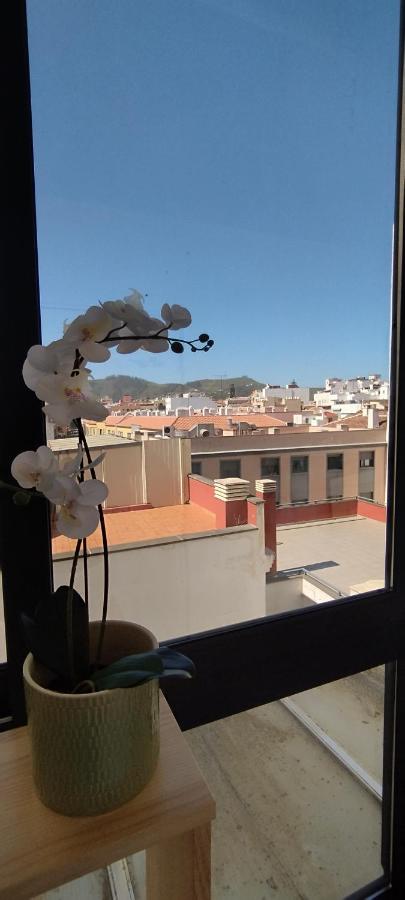 Estudio centro de La Laguna - B&B